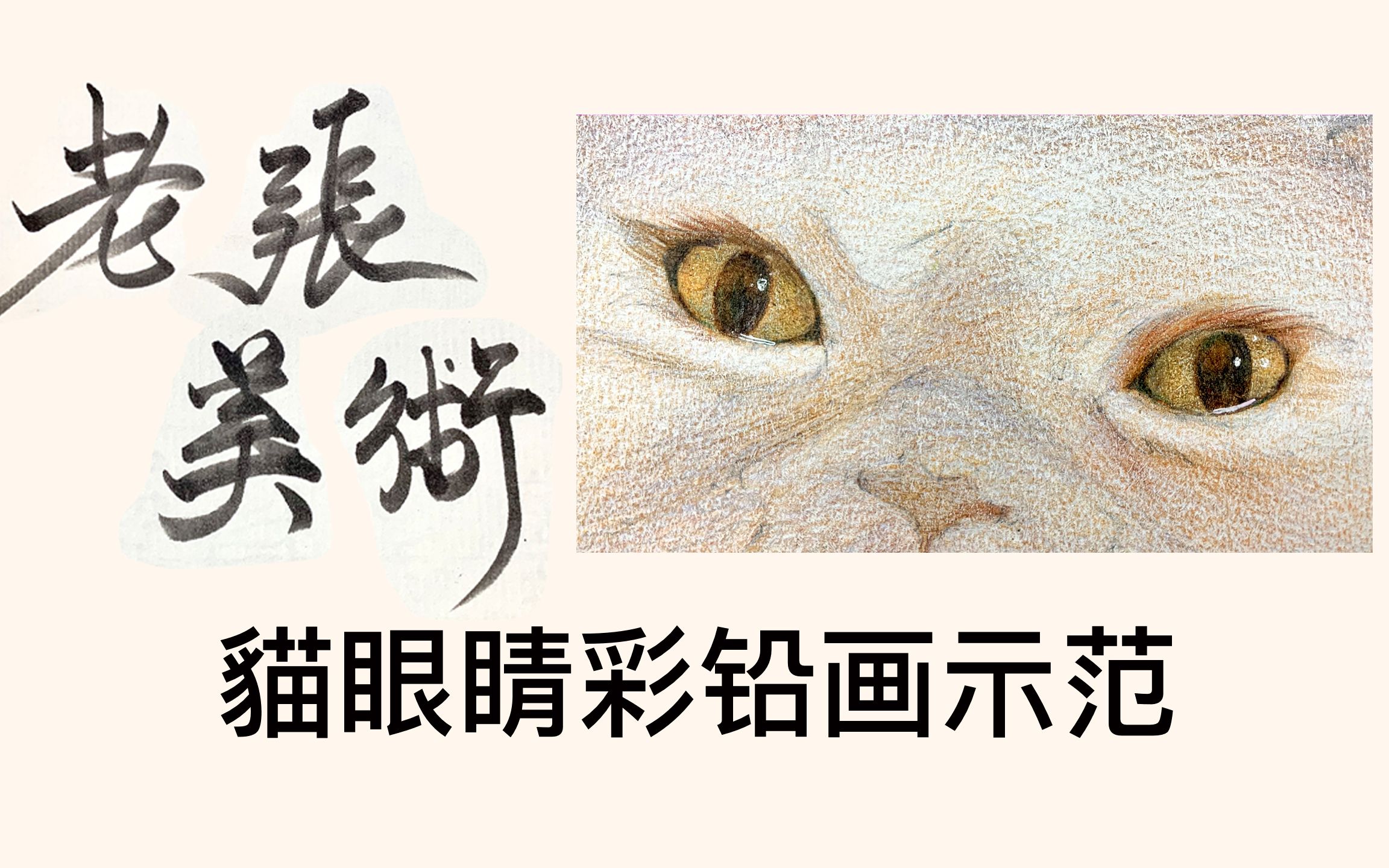 老张美术『猫眼睛彩铅画示范』|猫咪彩铅画|色铅笔示范|色铅笔|彩铅画|画画|基础美术哔哩哔哩bilibili