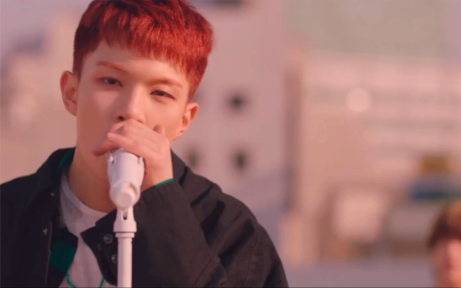 【n.flying/柳会胜】柳哥学猫叫