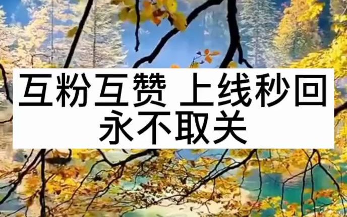 互粉互赞永不取关上线秒回