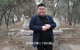 Video herunterladen: 苏轼为什么葬在了河南？北宋一条什么硬核规定？令无数文人梦碎！