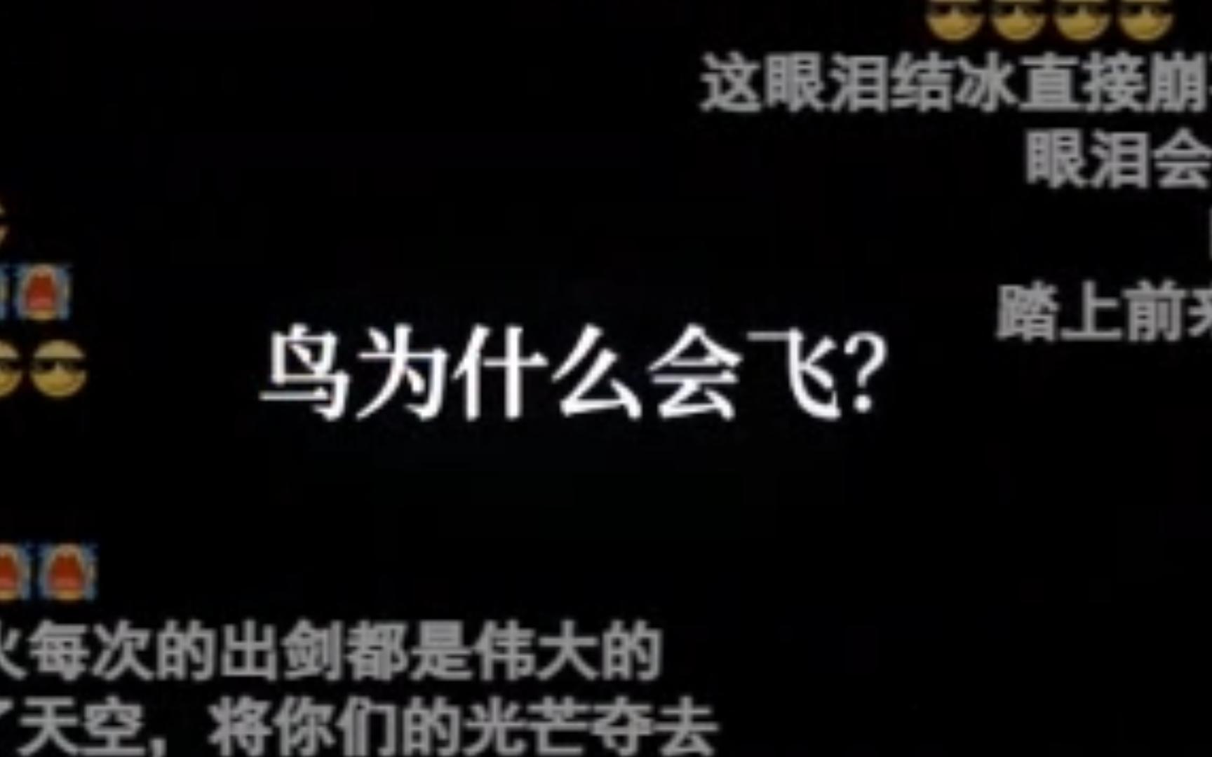 鸟为什么会飞?手机游戏热门视频