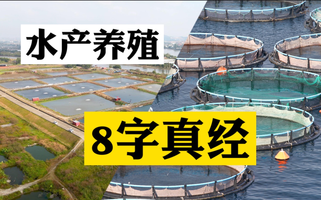 搞水产养殖到底有没有捷径?养鱼八字经,8个字解决所有养殖问题哔哩哔哩bilibili