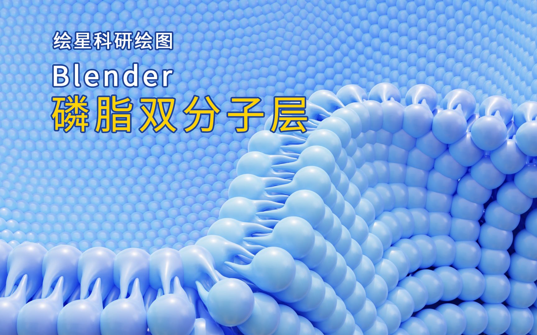 【科研绘图】—blender绘制磷脂双分子层