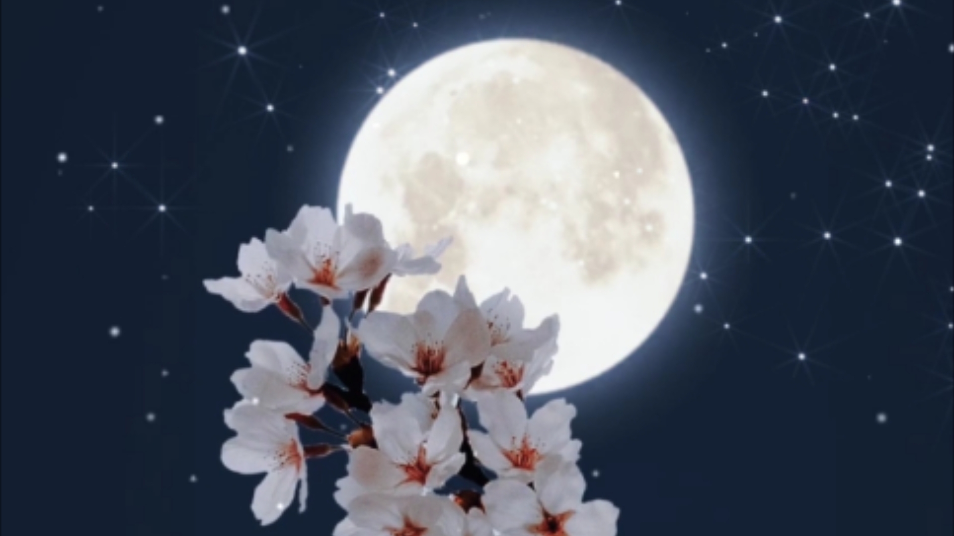 圆月花朵动态壁纸