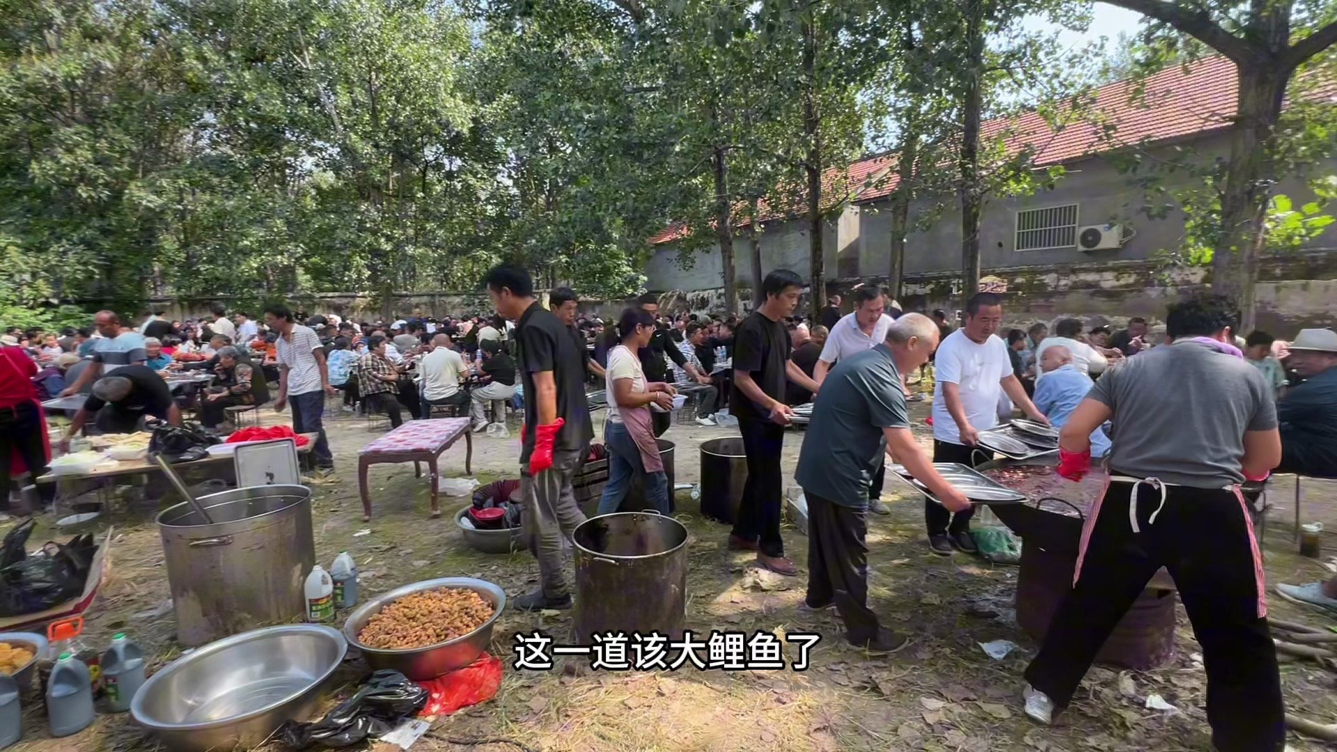 220元农村大席菜吃席现场-小钉探美食-小钉探美食-哔哩哔哩视频
