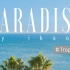 【Tropical热带风】Ikson - Paradise『免版权音乐』