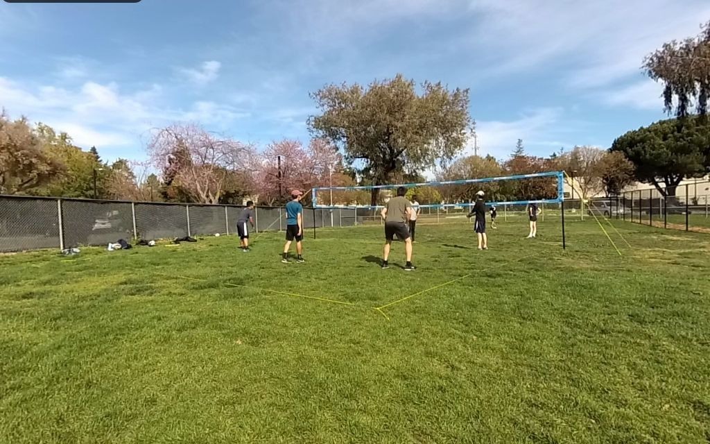 0411 grass hopper草地排球