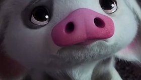 海洋奇缘 性感的小猪猪 在线卖萌 哔哩哔哩 つロ干杯 Bilibili 海洋奇缘 性感的小猪猪 在线卖萌 哔哩哔哩 つロ干杯 Bilibili