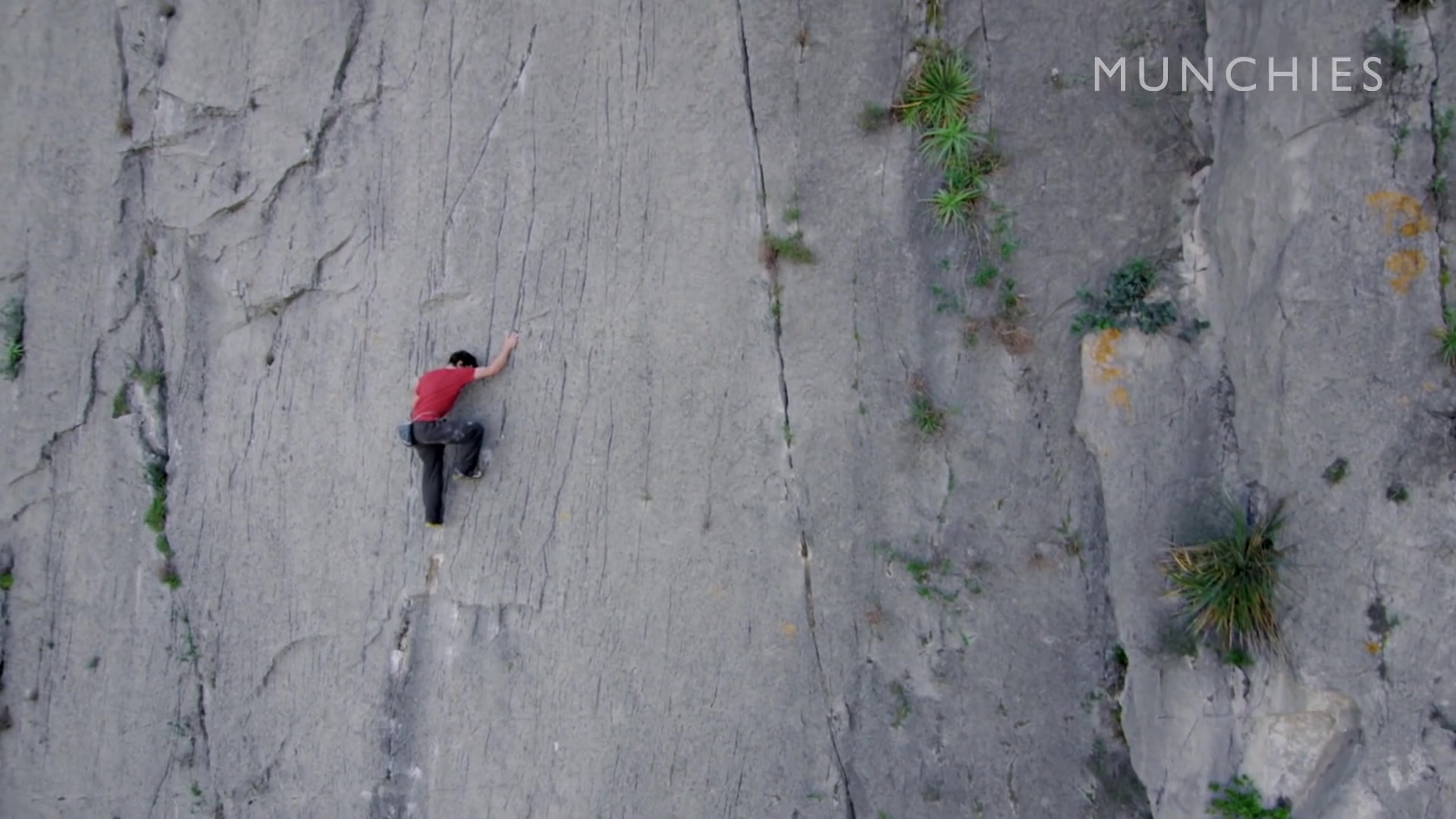 [图]Free solo 攀岩大神 Alex Honnold 讲述自己的日常饮食