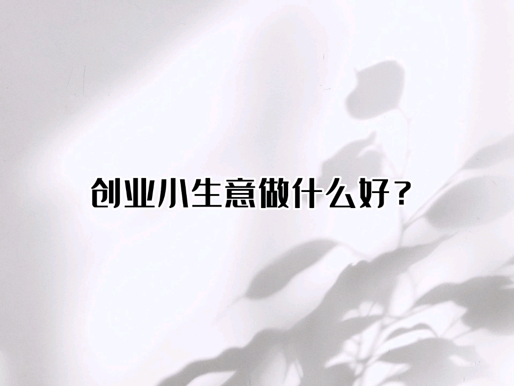 创业做什么好投资小生意(创业什么项目比较好小投资)