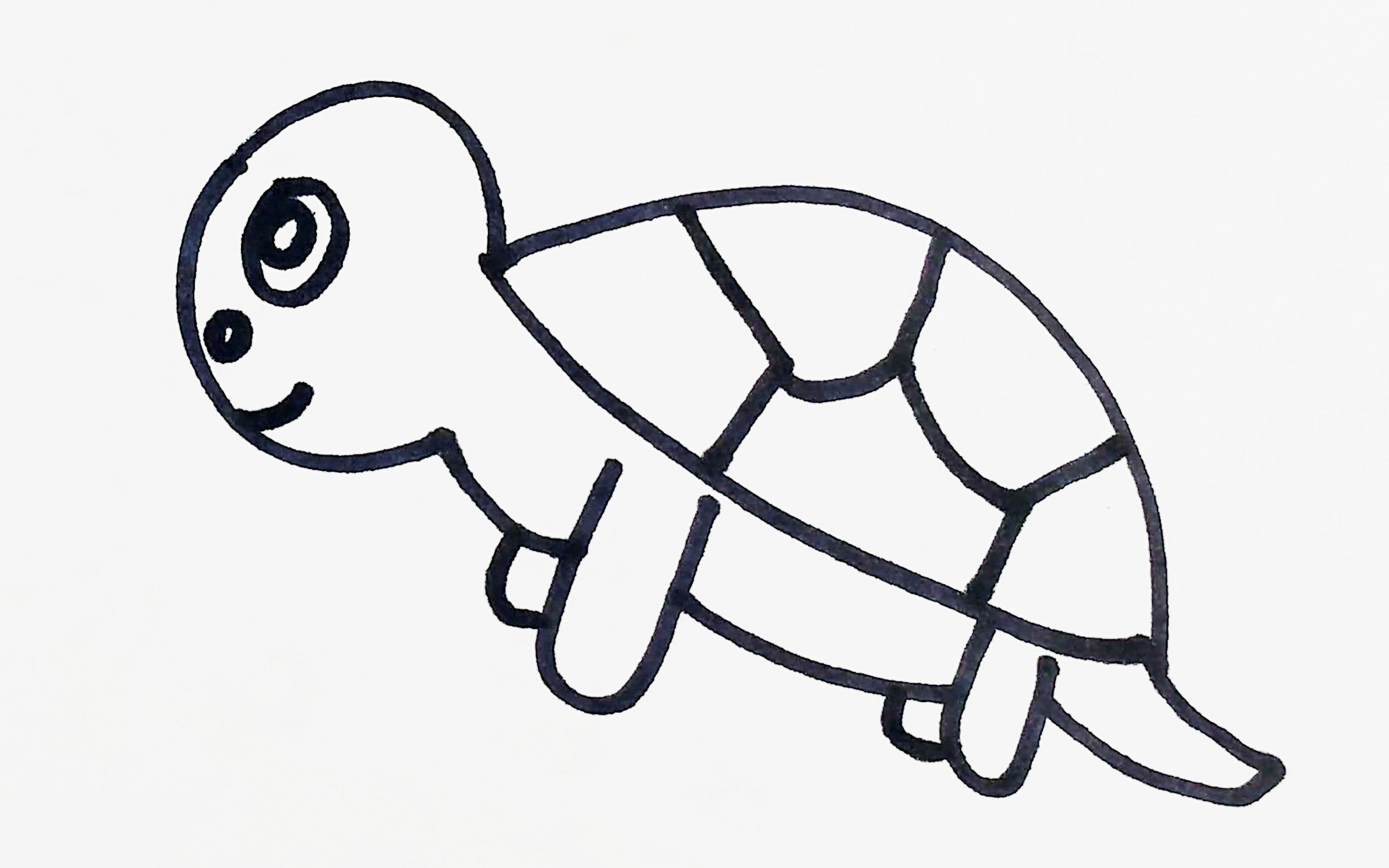 小乌龟怎么画 线描图片