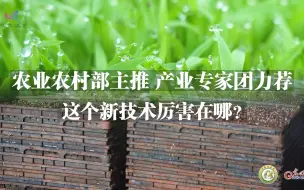 Download Video: 一线调研·下田故事: 农业农村部主推、产业专家团力荐，这个新技术厉害在哪？