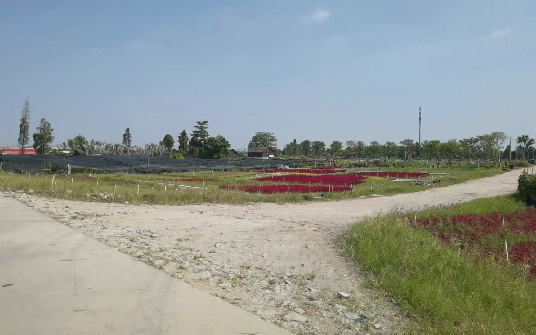 中山市横栏镇三沙村探索出路