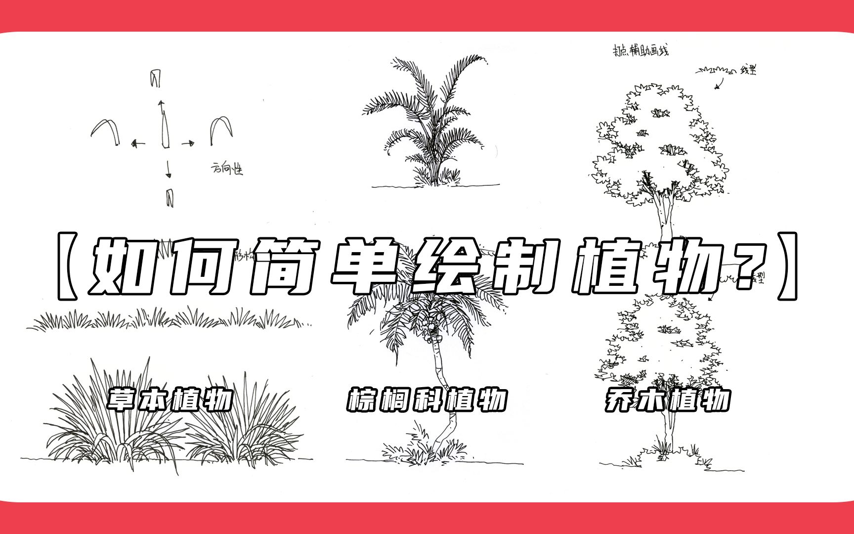 每日小训练——如何简单绘制植物(乔木植物篇)哔哩哔哩bilibili