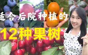 【果树种植】12种适合在家庭后院种植的果树和水果，这种水果不用买树苗，用果核就能种