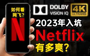 Download Video: 2023年入坑正版Netflix有多爽！Netflix使用体验分享