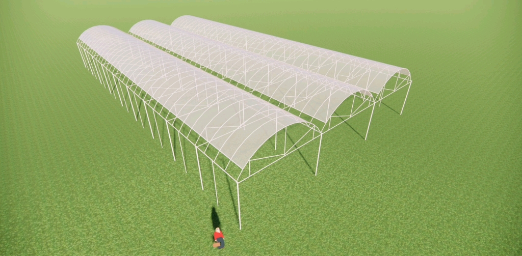 避雨棚葡萄绿城温室大棚