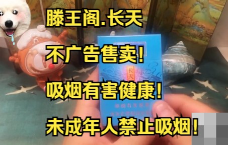 0119品百草之滕王阁长天哔哩哔哩bilibili