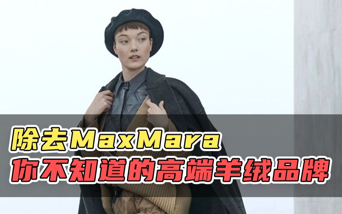 除去MaxMara 你不知道的高端羊绒品牌哔哩哔哩bilibili