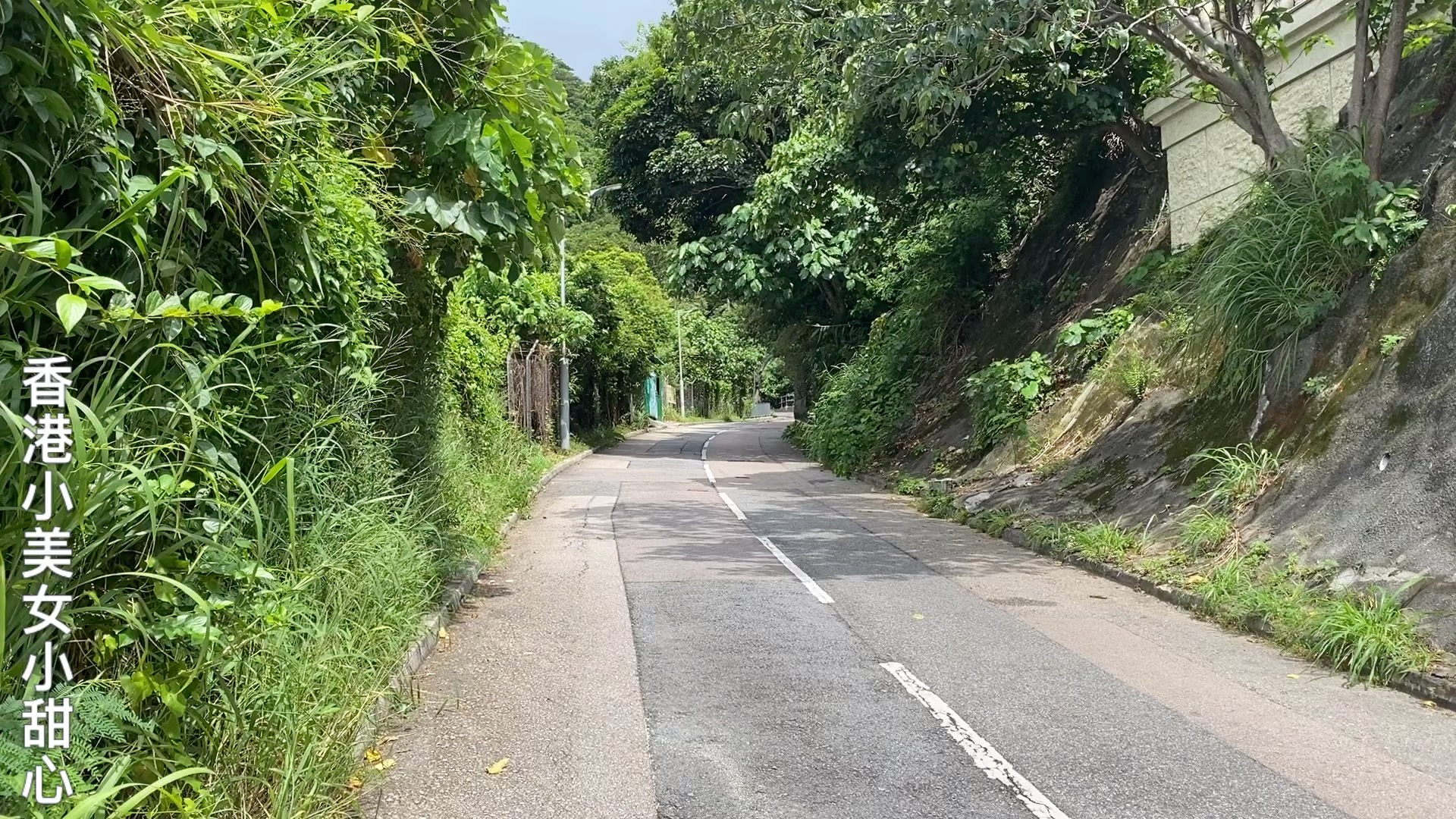 实拍香港深水湾道富人区的生活环境绿化空气真好啊