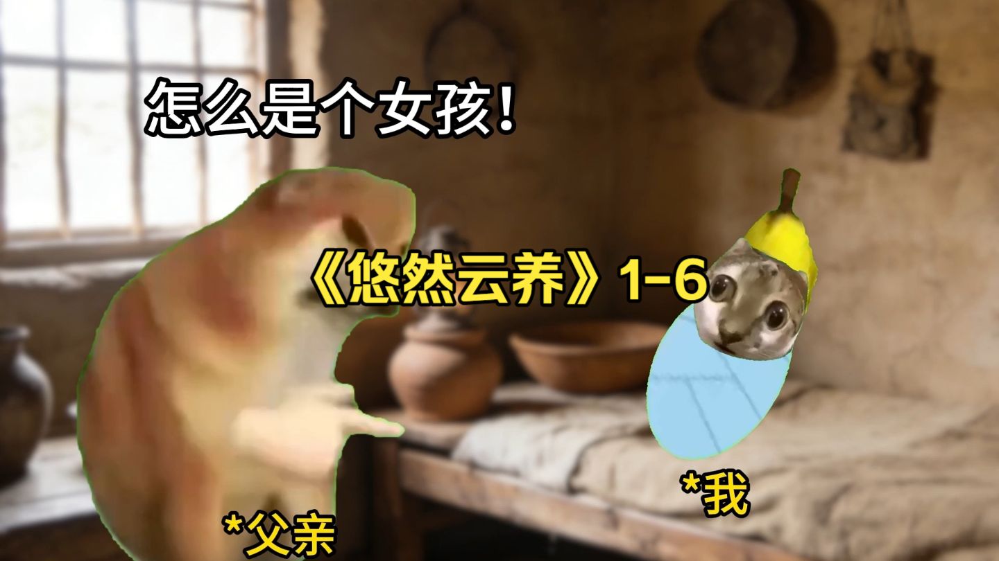《悠然云养》1-6