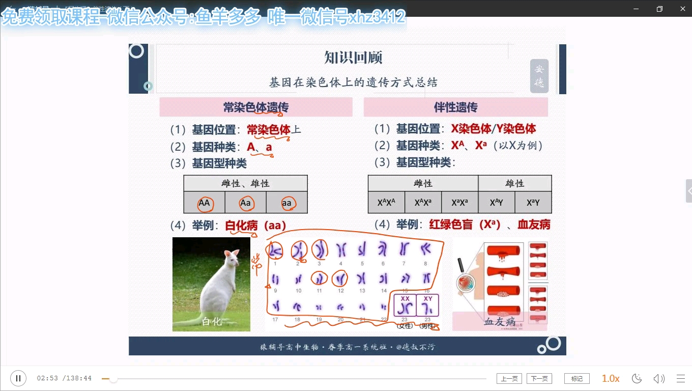 生物必修二哔哩哔哩bilibili