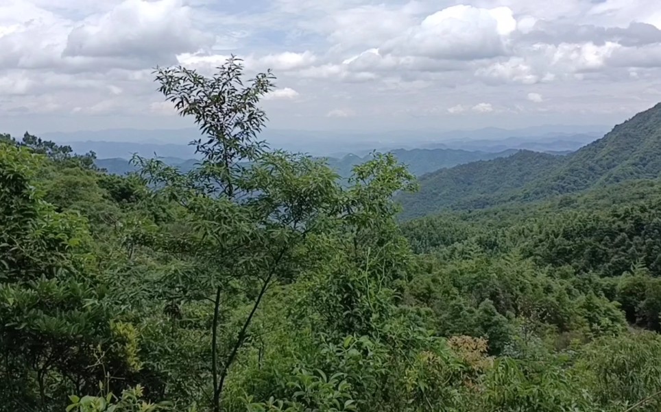 貪狼峰起祖.一路跌宕起伏,如此地不真?還有啥地能用?