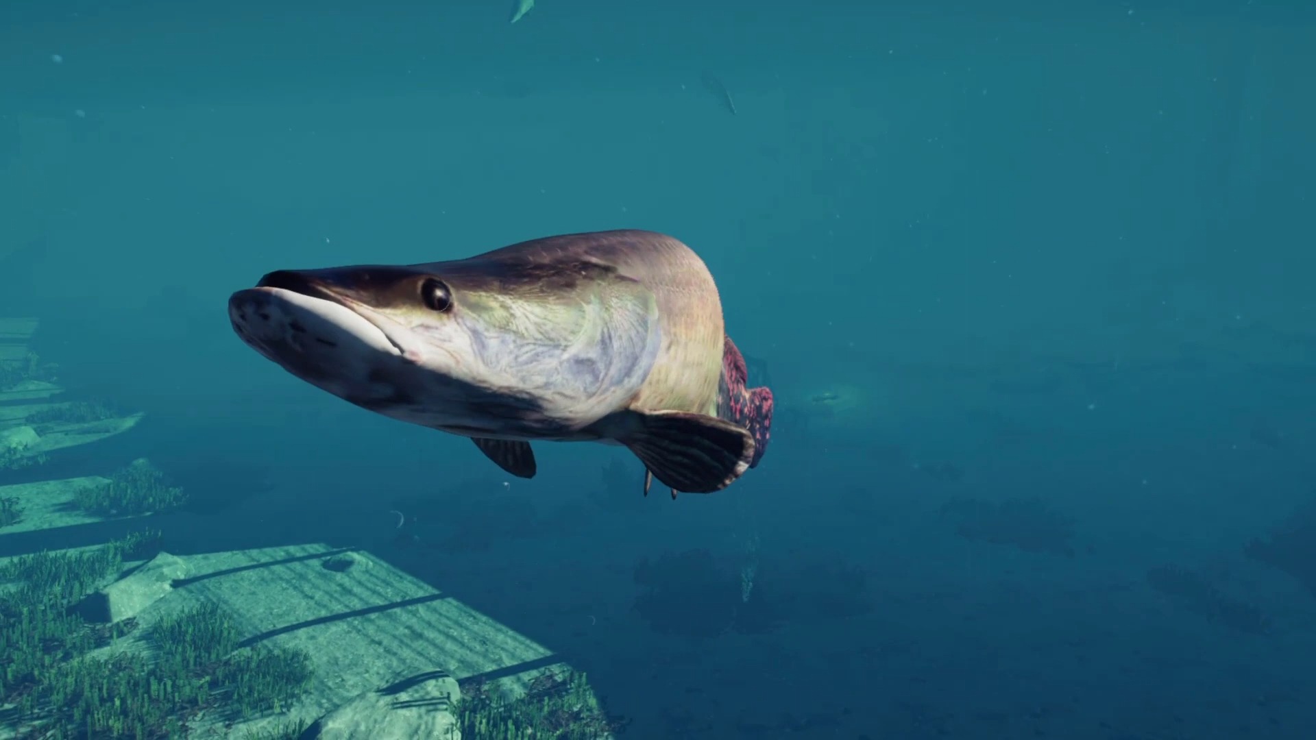 侏罗纪世界:最佳新水生恐龙