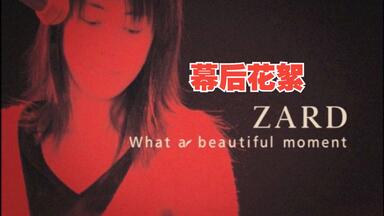 ミュージック ZARD/What a beautiful memory 2009 New ZARD What a beautiful memory 2009 DVD Japan JBBJ-5003