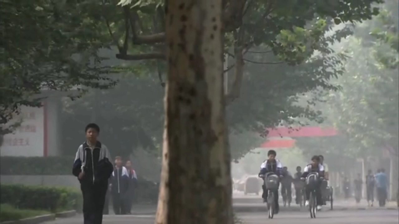 【电视剧】《你是我的生命》桑岩因在校外打捶被妈妈罚跪的全片段.哔哩哔哩bilibili