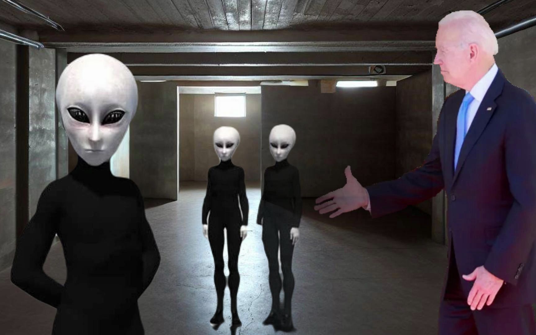 在阿拉斯加和灰人的见面过程 拜登会见了三名外星人 五