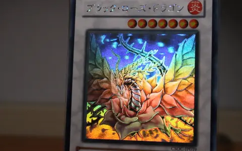 游戏王hr黑蔷薇龙(花龙)鉴赏