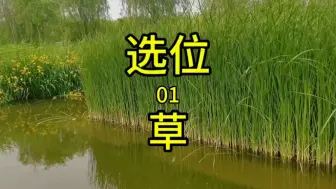 Download Video: 钓鱼不钓草等于瞎胡跑