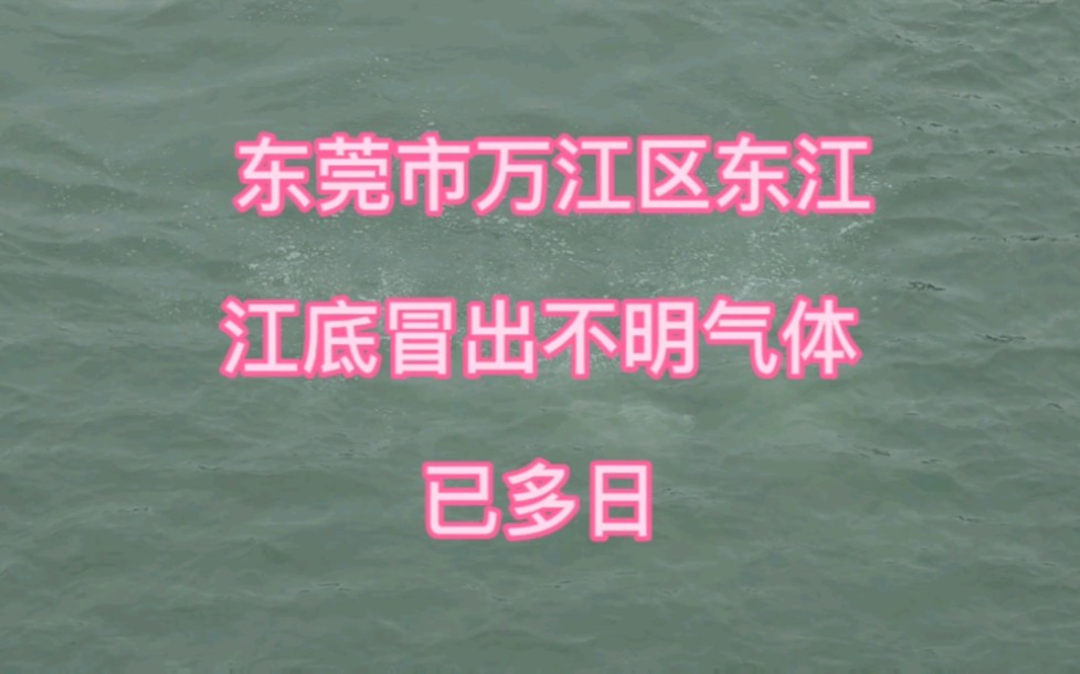 进一个礼拜观察东莞万江东江,江底冒出不明气体多日,就在曲海桥附近150m内冒,之前还没有察觉到有,哪些朋友也观察到了?这是什么现象?有没有懂...