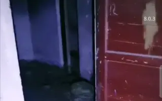 洋子户外探险（废弃化工厂宿舍高能短视频）