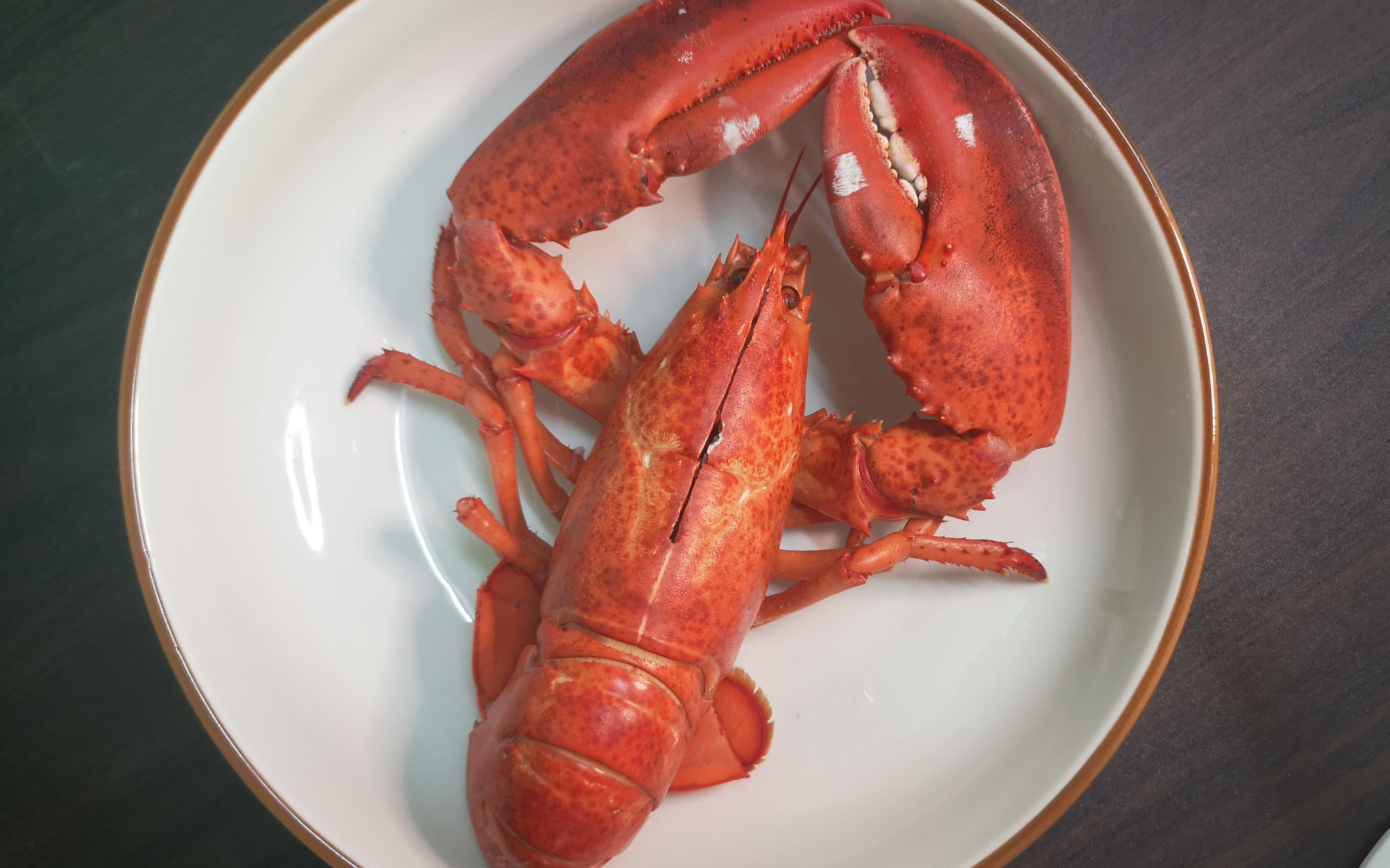 一只龙虾,一个我.