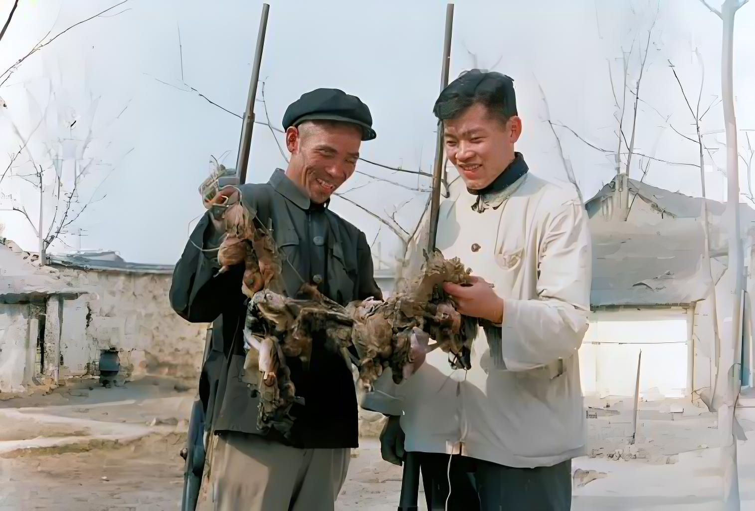 1958年真实录像,全国“灭雀运动”捕杀20亿只麻雀,国内近乎灭绝哔哩哔哩bilibili