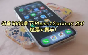 Video herunterladen: 闲鱼3000多拿下iPhone12promax 256  捡漏or翻车！