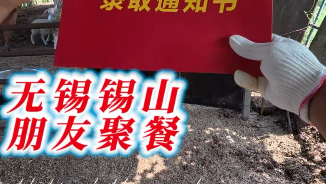 兄弟们，又考上啦，无锡市锡山区，带着小羊去报到！