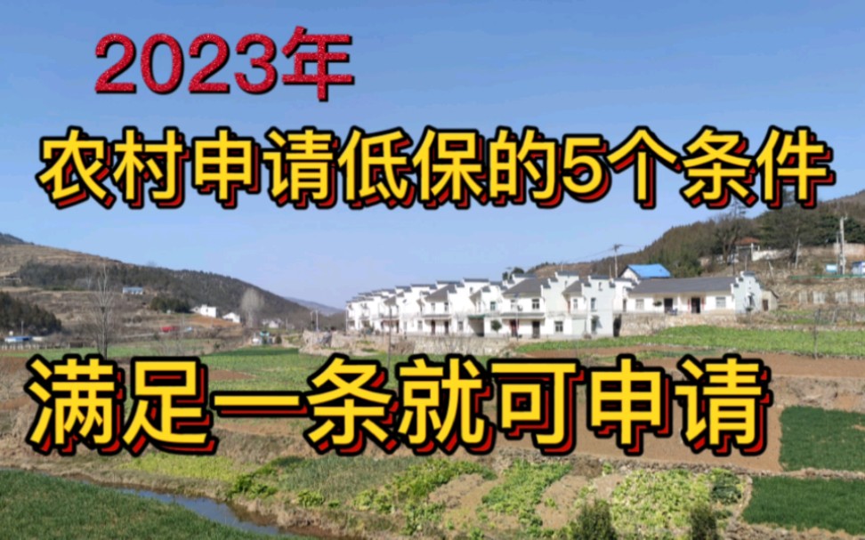 2023年农村申请低保的5个条件,满足一条就可申请,您满足吗?哔哩哔哩bilibili