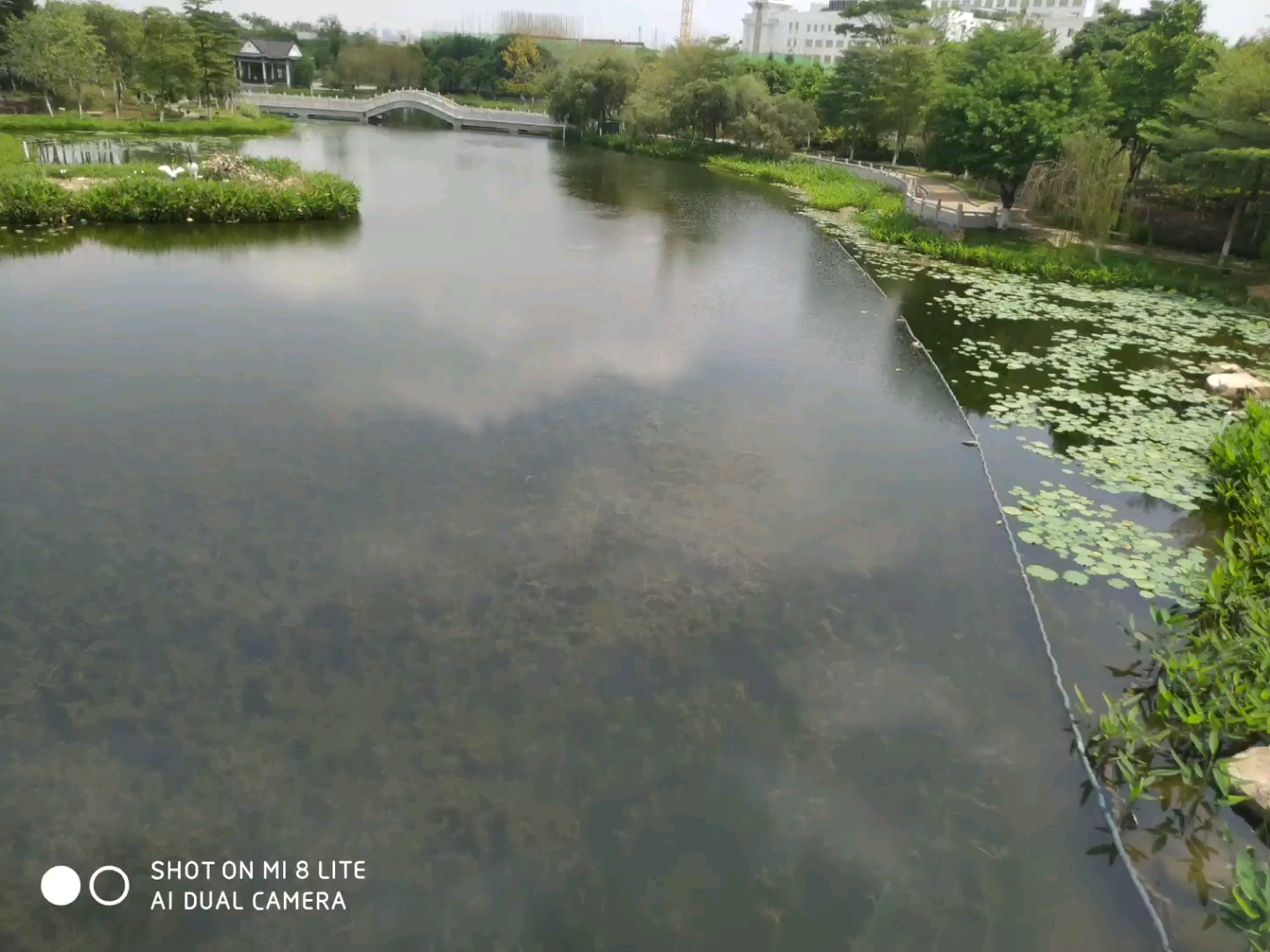 [图]河童爬出来啦