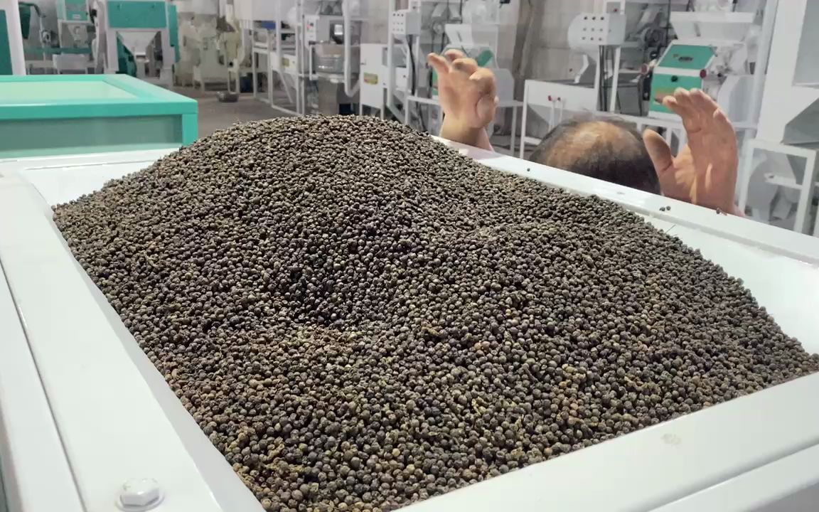 胡椒破碎机器胡椒碎加工机器