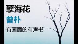 【视频书】曾朴:孽海花 晚晴小说哔哩哔哩bilibili