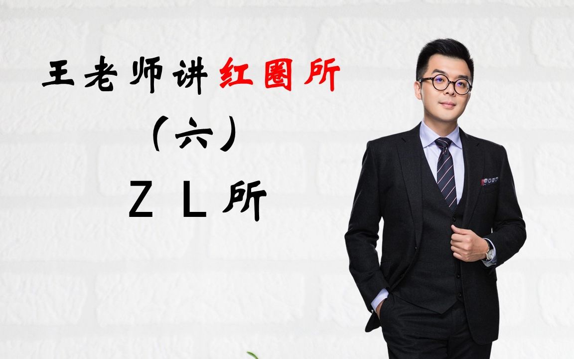 王老师讲红圈所——第六集:Z L 所哔哩哔哩bilibili