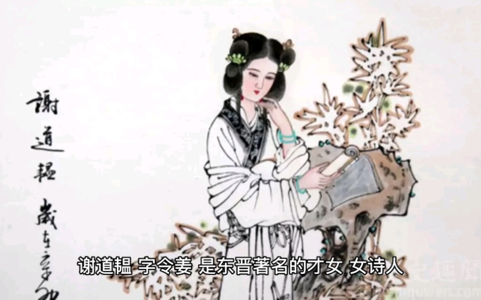 才女谢道韫哔哩哔哩bilibili