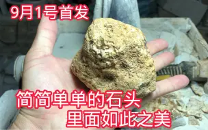 下载视频: 石头简简单单，谁能想到里面如此美，捡到一块等于捡到钱