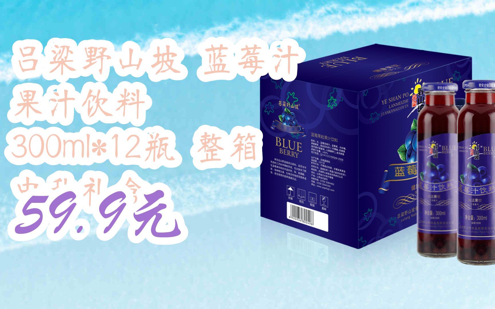 【京东搜 红包大礼包264 领福利】吕梁野山坡 蓝莓汁 果汁饮料 300ml*