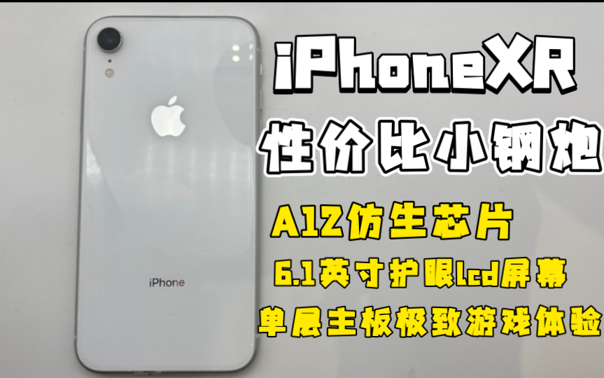 iPhoneXR 性价比之王 6.1英寸屏幕+A12芯片 性能非常强悍 ios极致流畅体验 yyds哔哩哔哩bilibili