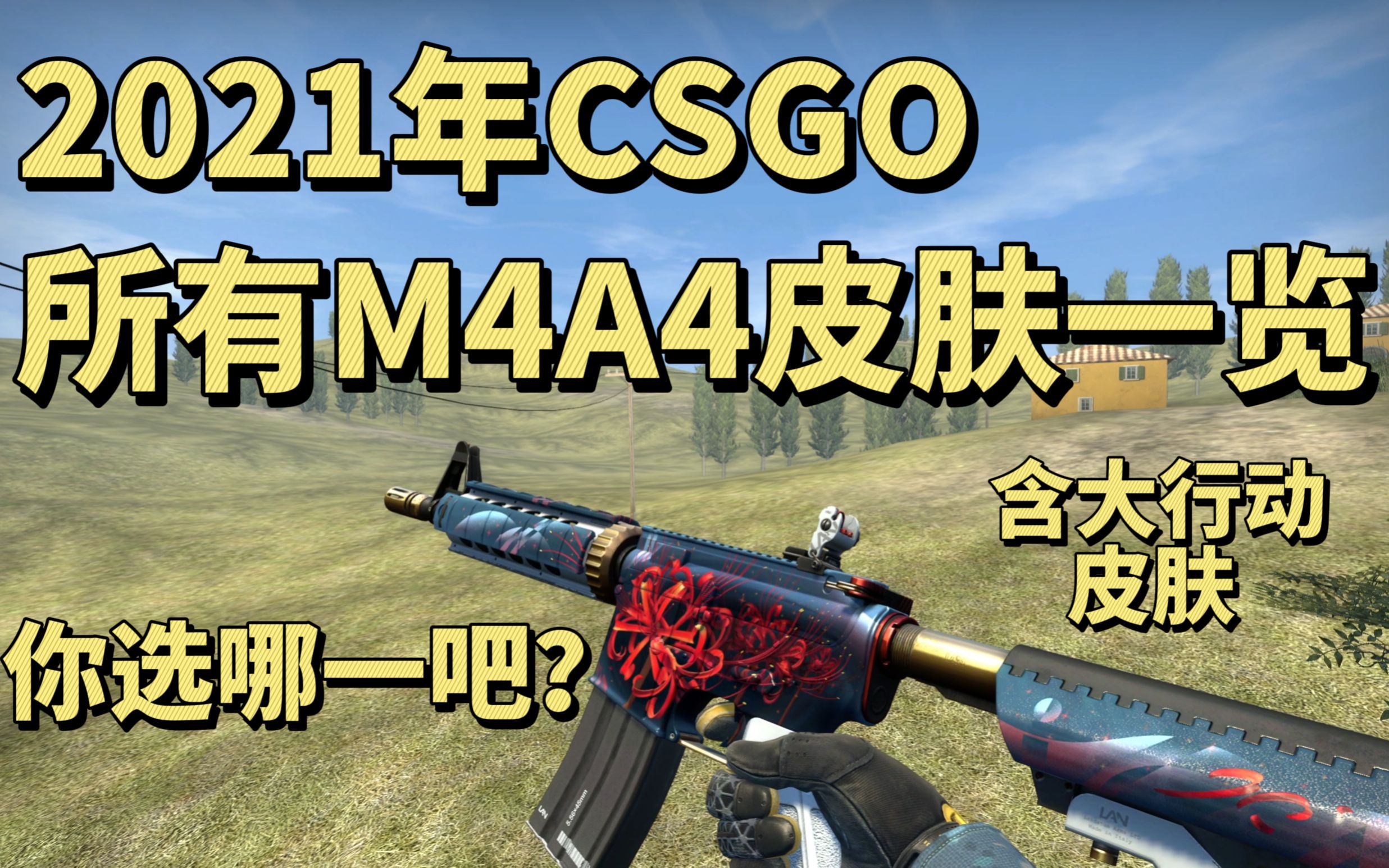 csgoC4图片