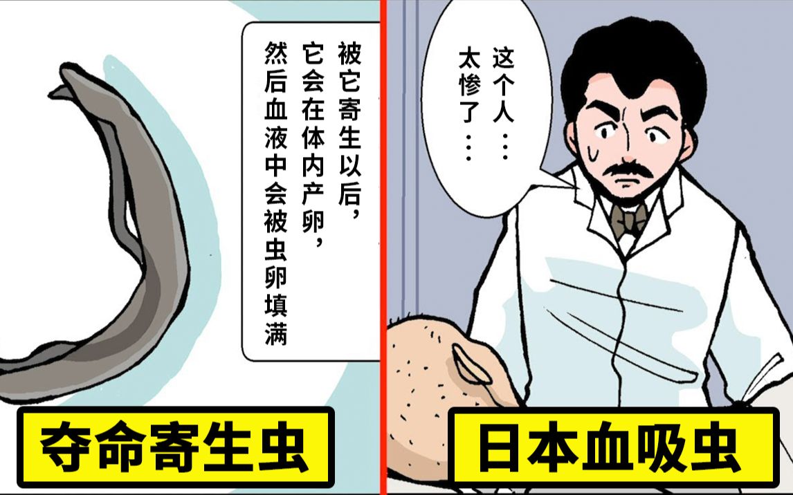 把最糟糕的杀人寄生虫...日本血吸虫画成了漫画哔哩哔哩bilibili